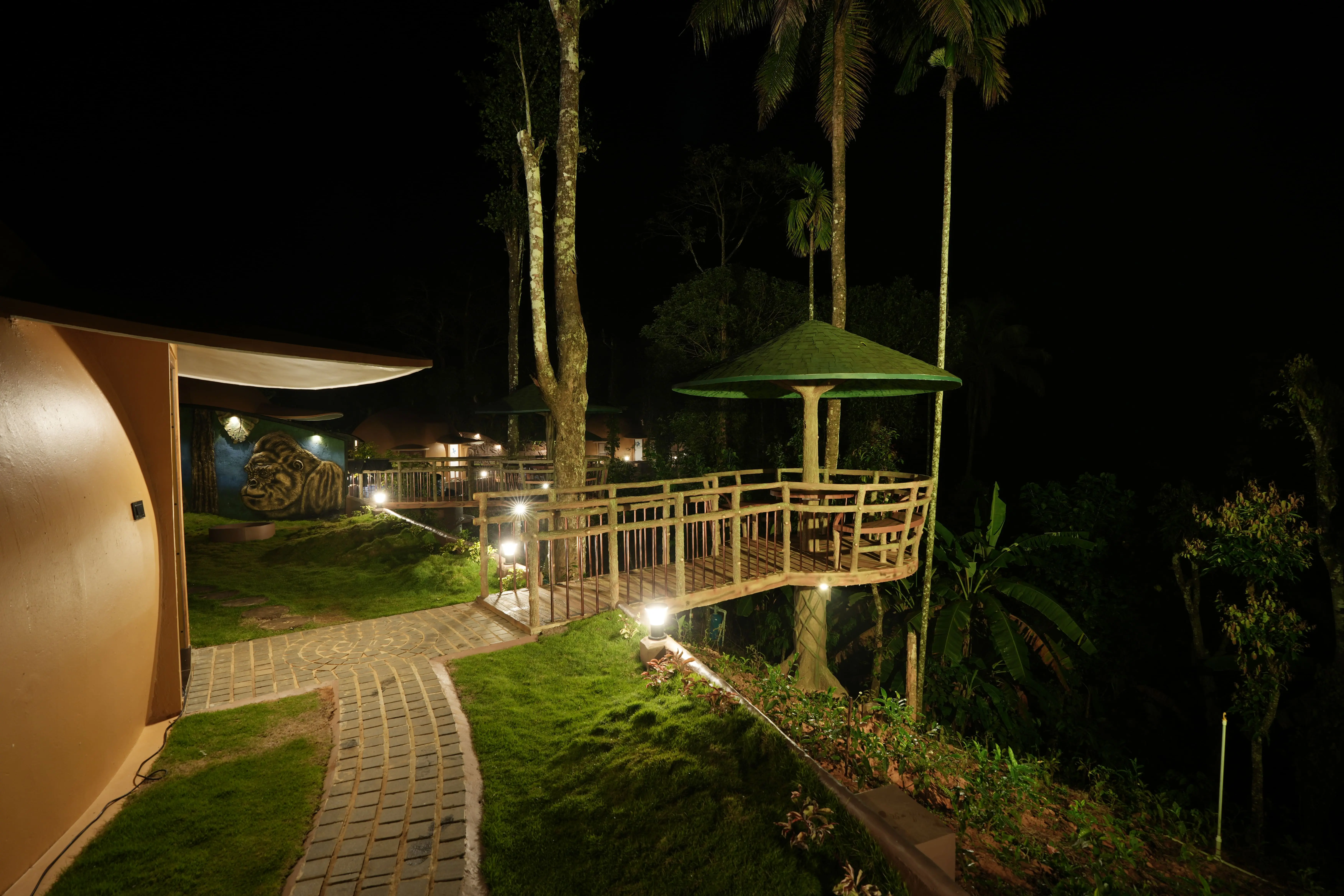Simba's Den — view 4