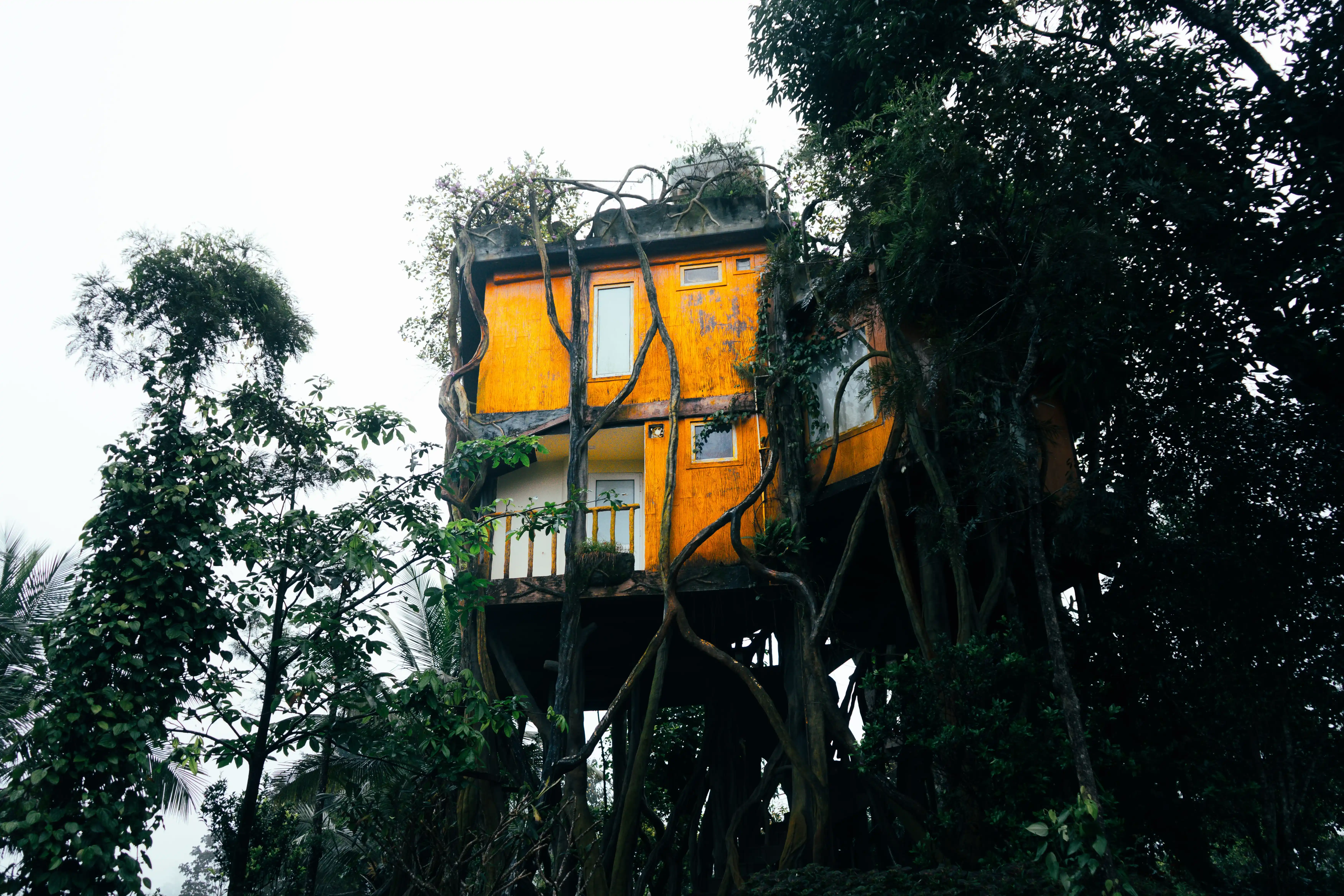 Tree Hut — B3 — view 2