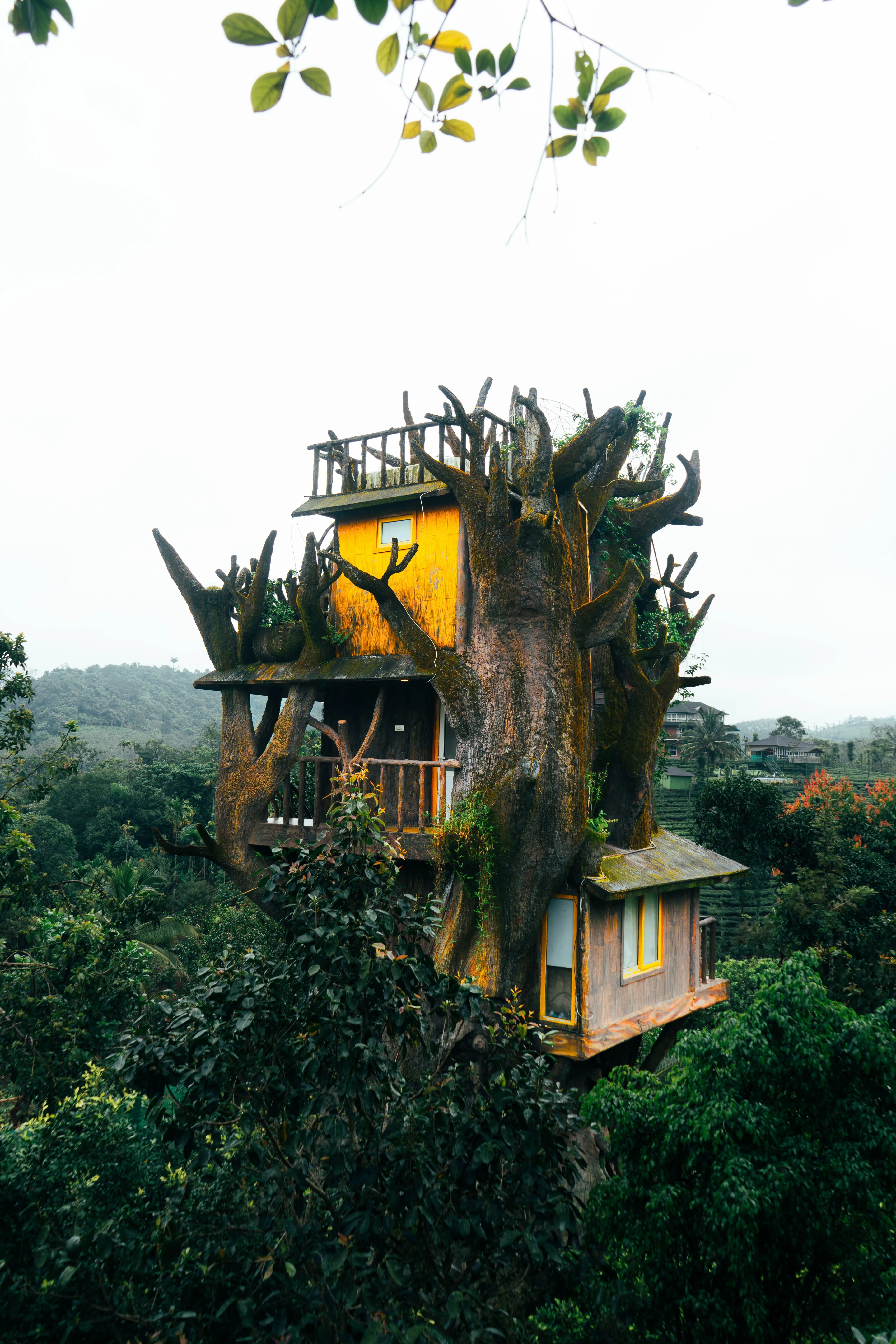 Tree Trunk — A3 — view 4